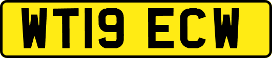 WT19ECW