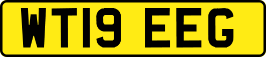 WT19EEG
