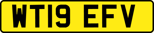 WT19EFV