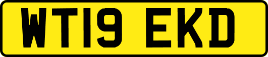 WT19EKD