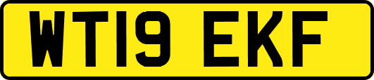 WT19EKF