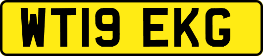 WT19EKG