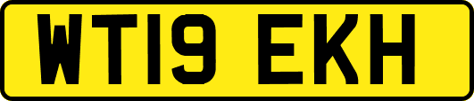 WT19EKH