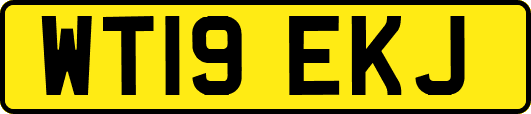 WT19EKJ