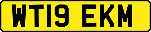 WT19EKM