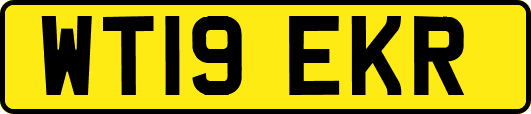 WT19EKR