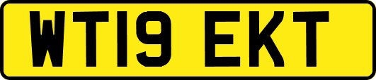 WT19EKT