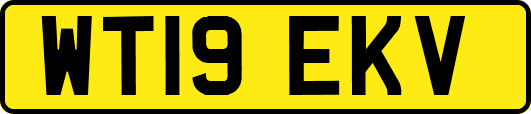 WT19EKV