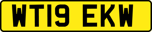 WT19EKW