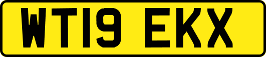 WT19EKX