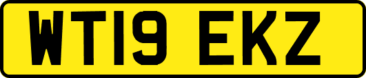 WT19EKZ