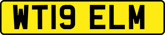 WT19ELM