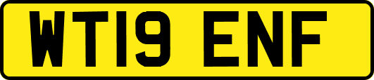 WT19ENF