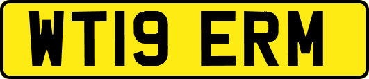 WT19ERM
