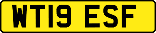 WT19ESF