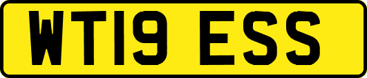 WT19ESS
