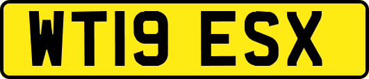 WT19ESX