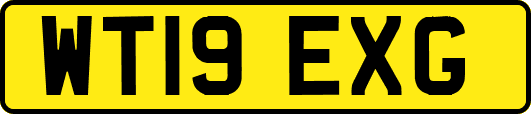 WT19EXG
