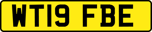WT19FBE