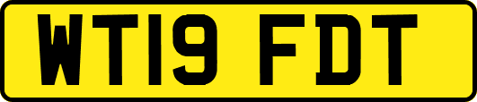 WT19FDT