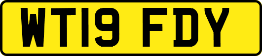 WT19FDY