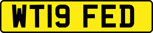 WT19FED