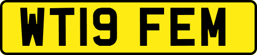 WT19FEM