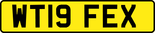 WT19FEX