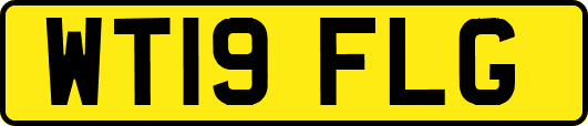 WT19FLG