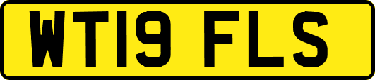 WT19FLS