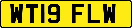 WT19FLW