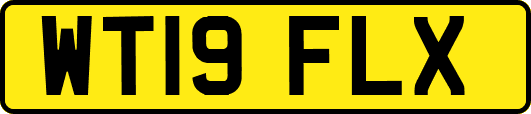 WT19FLX