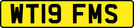 WT19FMS