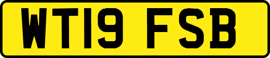 WT19FSB