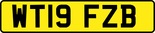 WT19FZB