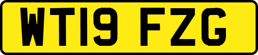 WT19FZG