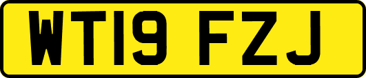 WT19FZJ