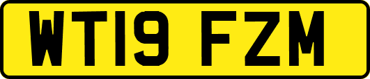 WT19FZM