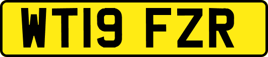 WT19FZR