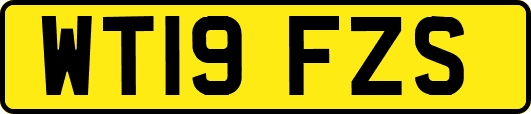 WT19FZS