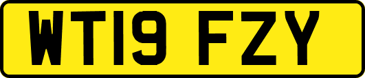 WT19FZY
