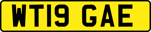 WT19GAE