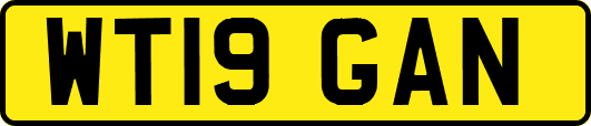 WT19GAN