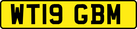 WT19GBM