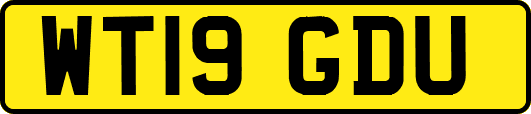 WT19GDU