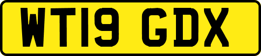 WT19GDX