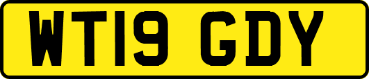 WT19GDY