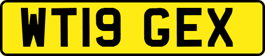 WT19GEX