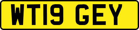 WT19GEY