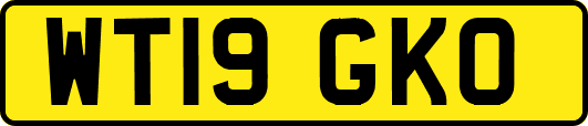 WT19GKO